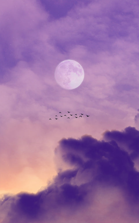 Embracing the Flower Moon: Self-Care Rituals for Wellness and Renewal